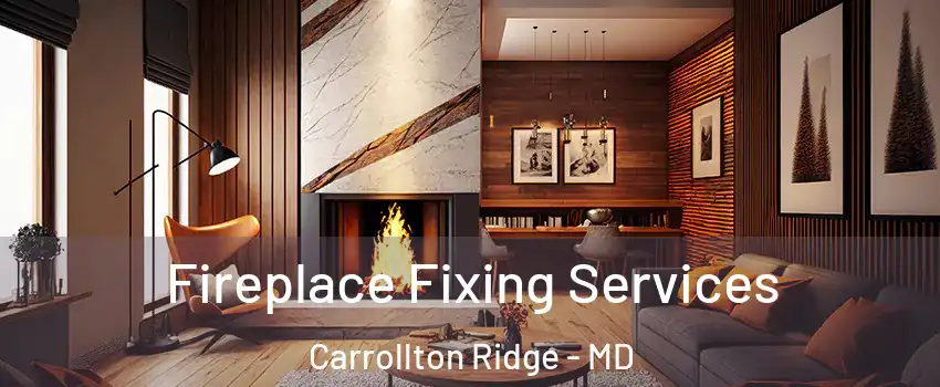 Fireplace Fixing Services Carrollton Ridge - MD