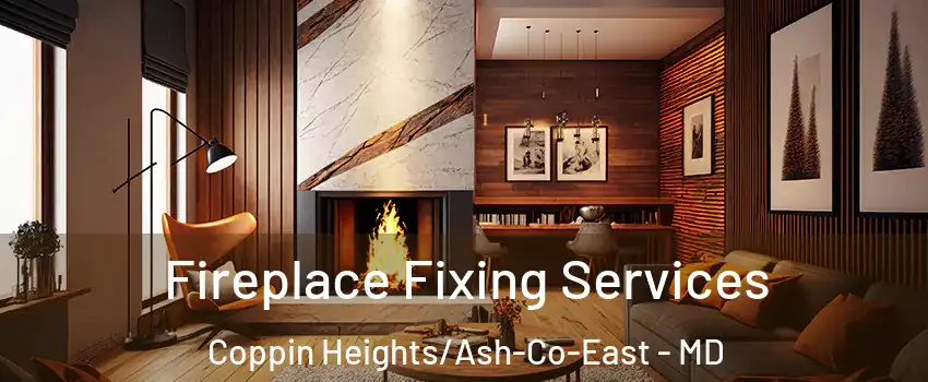 Fireplace Fixing Services Coppin Heights/Ash-Co-East - MD