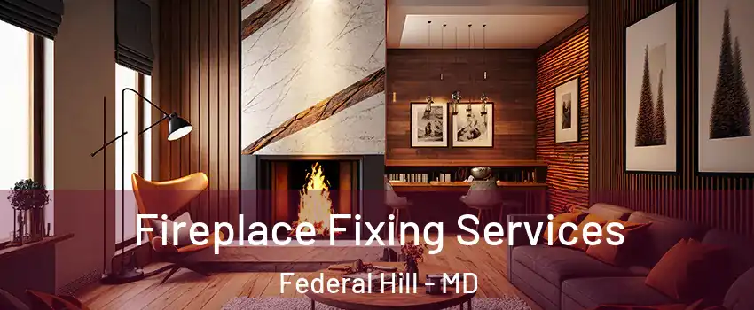 Fireplace Fixing Services Federal Hill - MD
