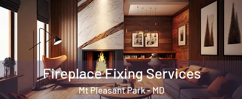 Fireplace Fixing Services Mt Pleasant Park - MD