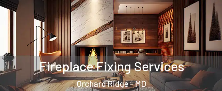 Fireplace Fixing Services Orchard Ridge - MD