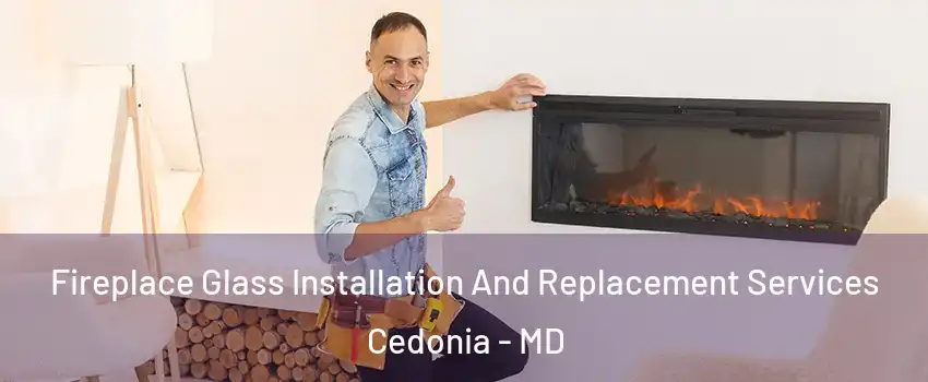 Fireplace Glass Installation And Replacement Services Cedonia - MD