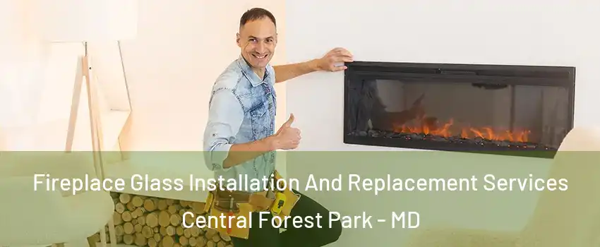 Fireplace Glass Installation And Replacement Services Central Forest Park - MD