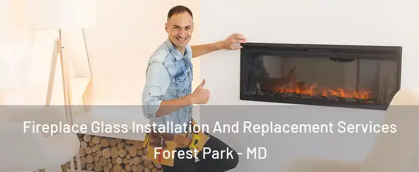 Fireplace Glass Installation And Replacement Services Forest Park - MD