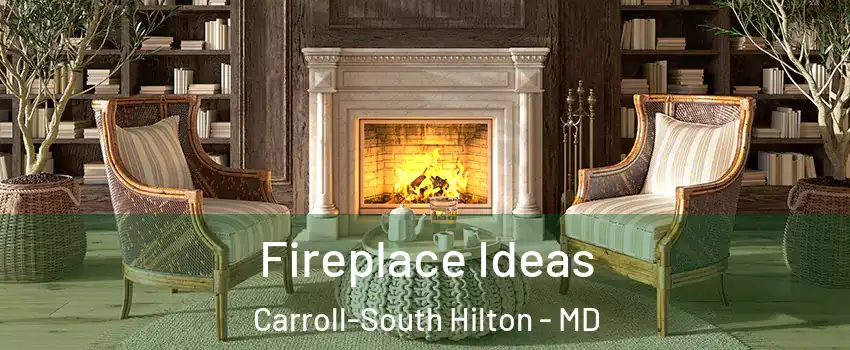 Fireplace Ideas Carroll-South Hilton - MD