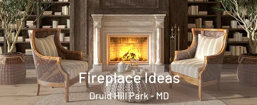 Fireplace Ideas Druid Hill Park - MD