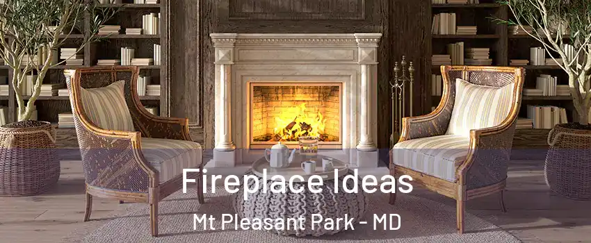 Fireplace Ideas Mt Pleasant Park - MD
