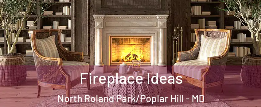 Fireplace Ideas North Roland Park/Poplar Hill - MD