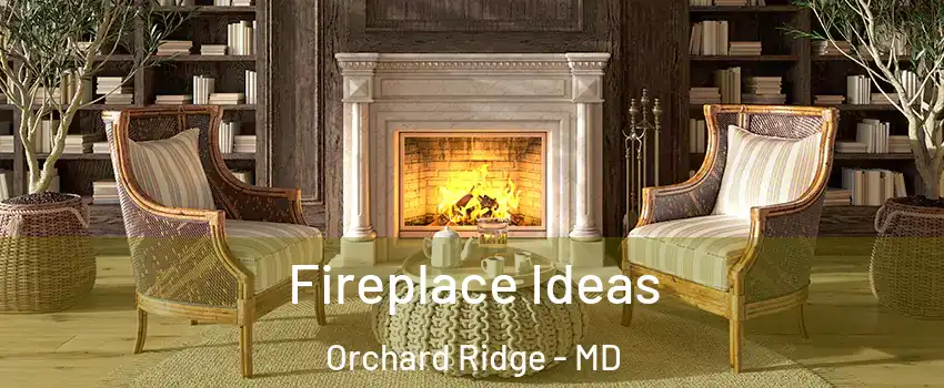 Fireplace Ideas Orchard Ridge - MD