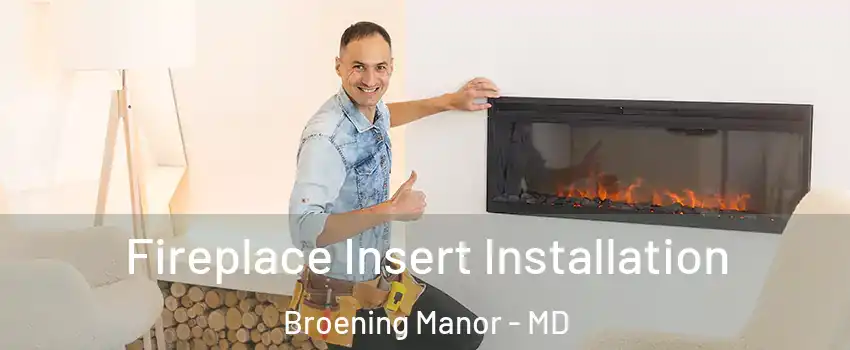 Fireplace Insert Installation Broening Manor - MD