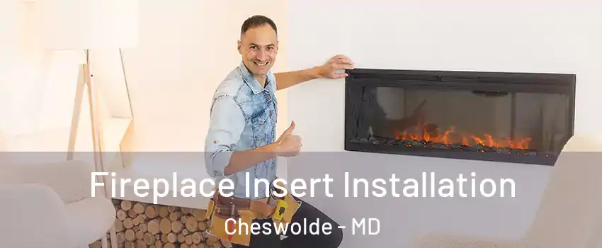 Fireplace Insert Installation Cheswolde - MD