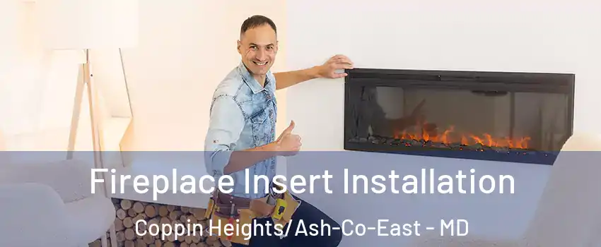 Fireplace Insert Installation Coppin Heights/Ash-Co-East - MD