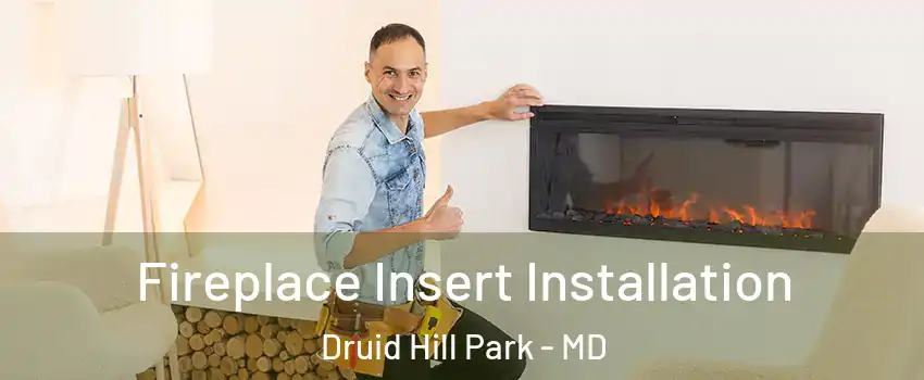 Fireplace Insert Installation Druid Hill Park - MD