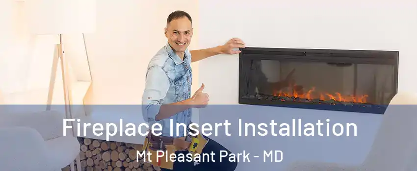 Fireplace Insert Installation Mt Pleasant Park - MD