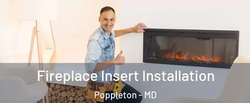 Fireplace Insert Installation Poppleton - MD