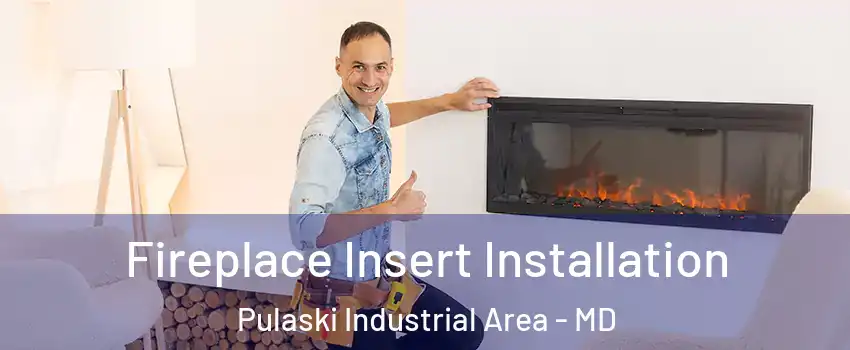 Fireplace Insert Installation Pulaski Industrial Area - MD