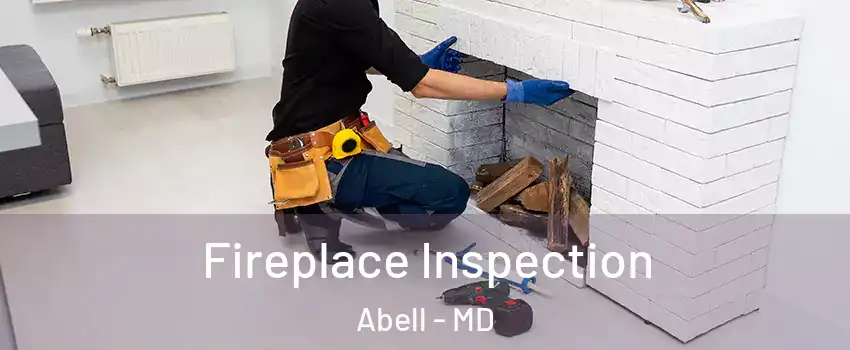 Fireplace Inspection Abell - MD