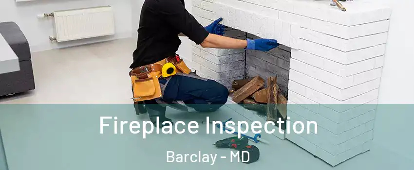 Fireplace Inspection Barclay - MD
