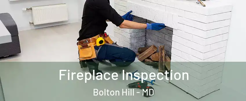 Fireplace Inspection Bolton Hill - MD