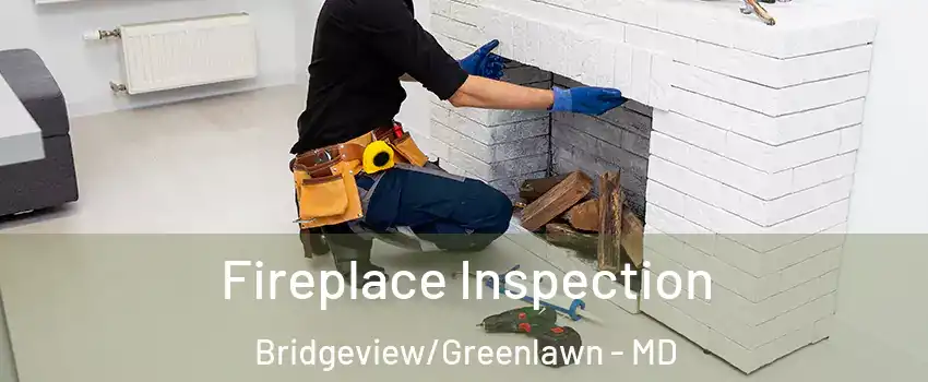 Fireplace Inspection Bridgeview/Greenlawn - MD