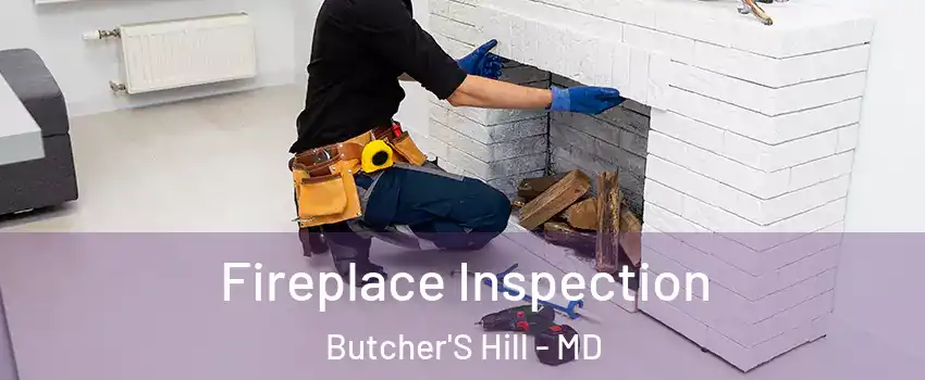 Fireplace Inspection Butcher'S Hill - MD
