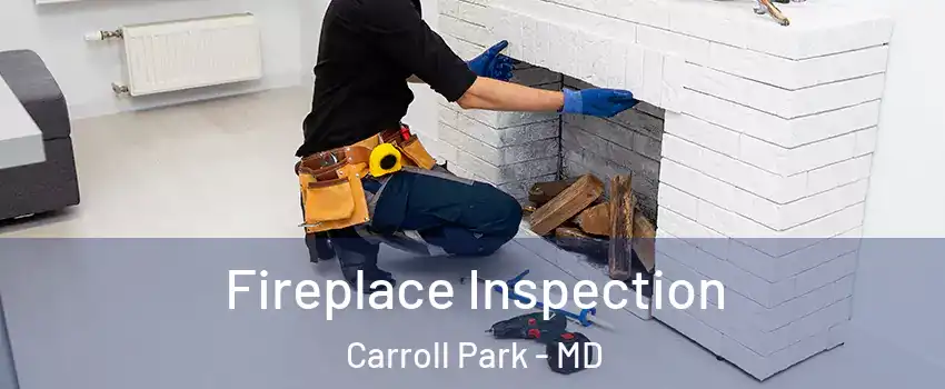 Fireplace Inspection Carroll Park - MD