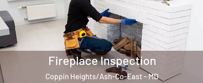 Fireplace Inspection Coppin Heights/Ash-Co-East - MD