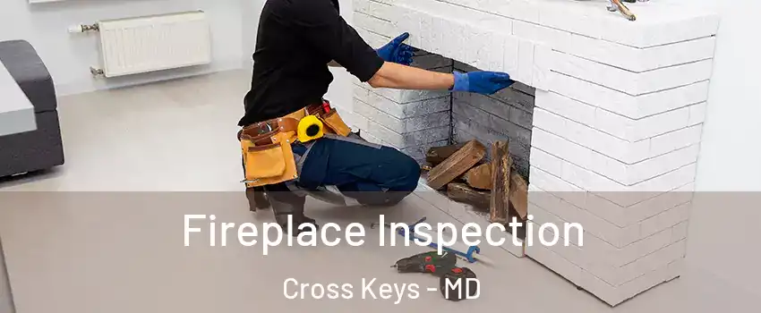 Fireplace Inspection Cross Keys - MD