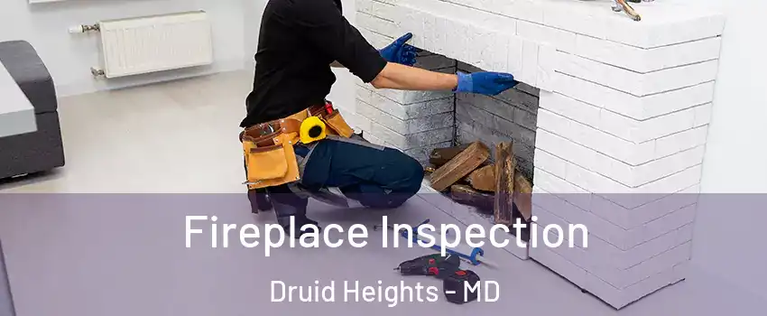 Fireplace Inspection Druid Heights - MD