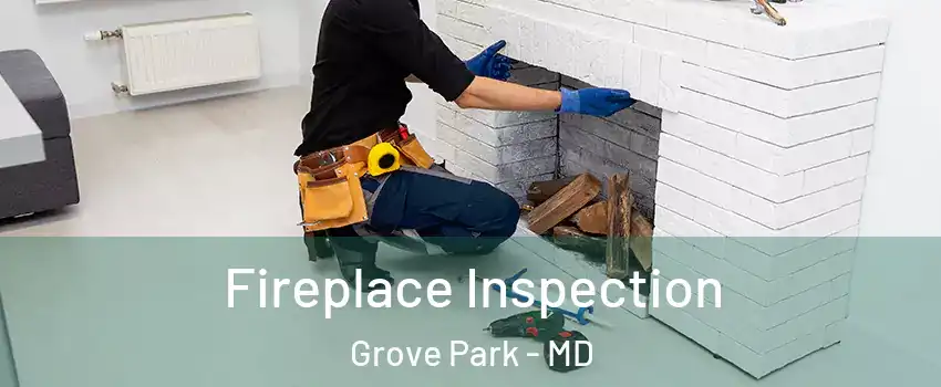 Fireplace Inspection Grove Park - MD