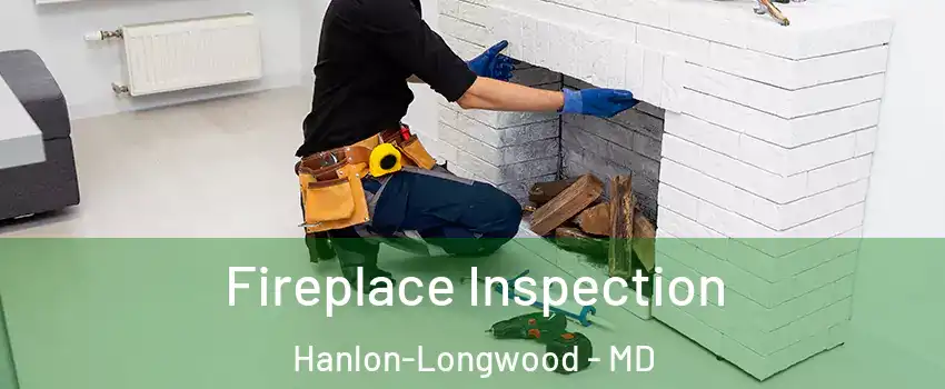 Fireplace Inspection Hanlon-Longwood - MD