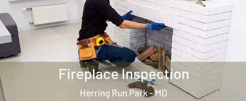 Fireplace Inspection Herring Run Park - MD