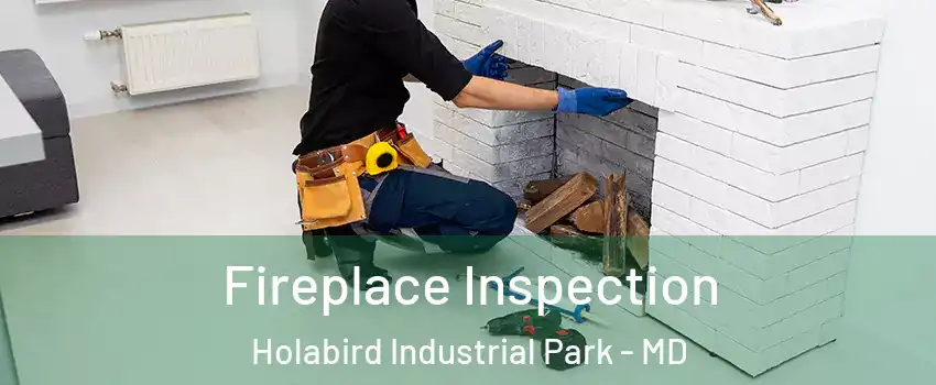 Fireplace Inspection Holabird Industrial Park - MD