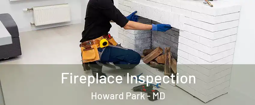 Fireplace Inspection Howard Park - MD