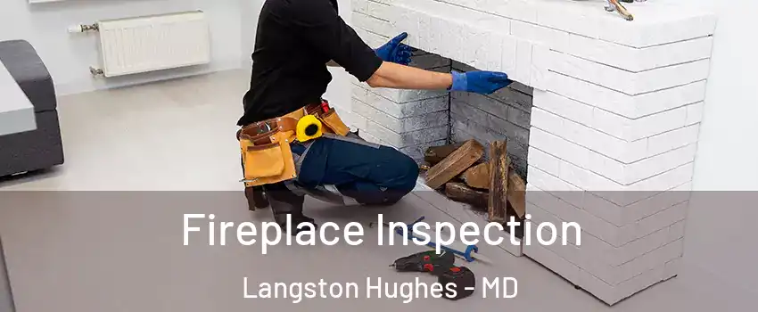 Fireplace Inspection Langston Hughes - MD
