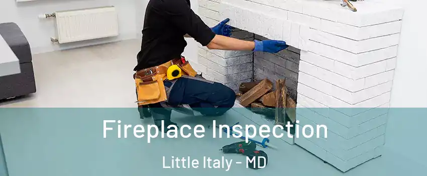 Fireplace Inspection Little Italy - MD
