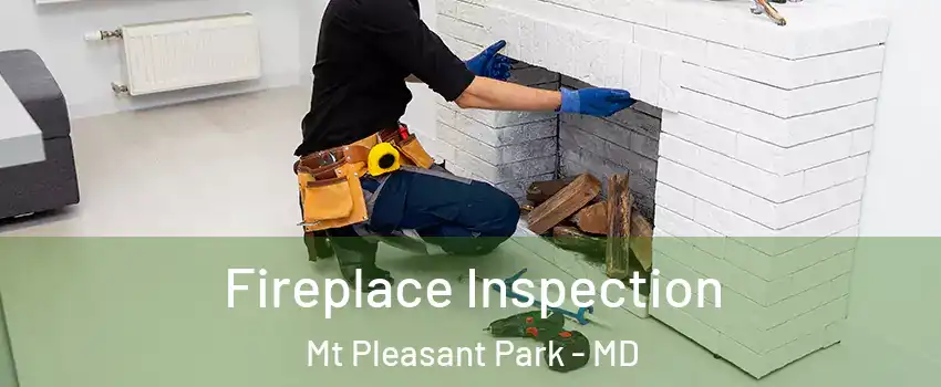 Fireplace Inspection Mt Pleasant Park - MD