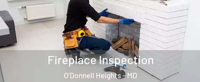 Fireplace Inspection O'Donnell Heights - MD