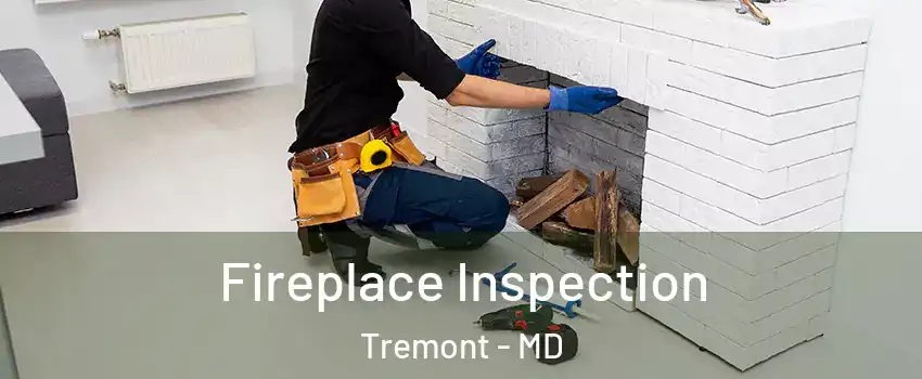 Fireplace Inspection Tremont - MD