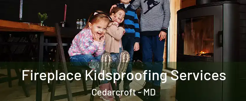 Fireplace Kidsproofing Services Cedarcroft - MD