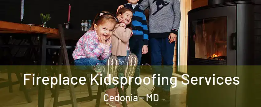 Fireplace Kidsproofing Services Cedonia - MD