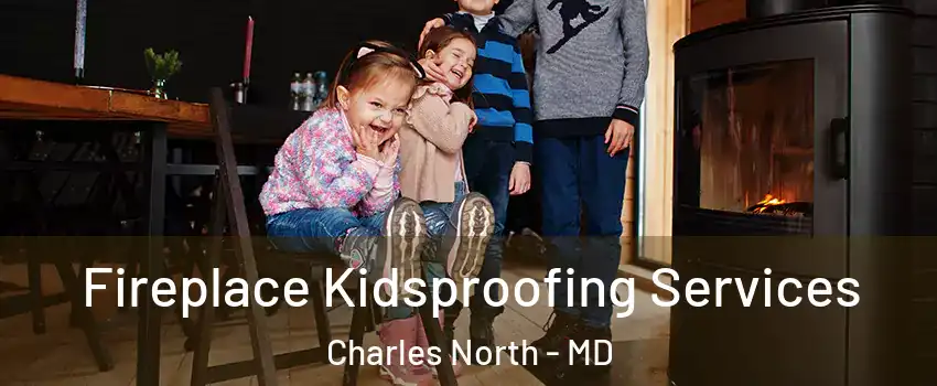 Fireplace Kidsproofing Services Charles North - MD