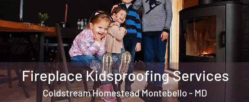 Fireplace Kidsproofing Services Coldstream Homestead Montebello - MD
