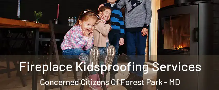Fireplace Kidsproofing Services Concerned Citizens Of Forest Park - MD