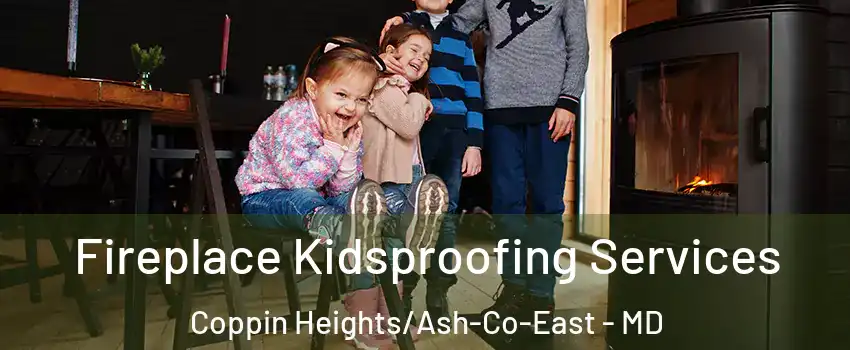 Fireplace Kidsproofing Services Coppin Heights/Ash-Co-East - MD