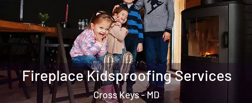 Fireplace Kidsproofing Services Cross Keys - MD