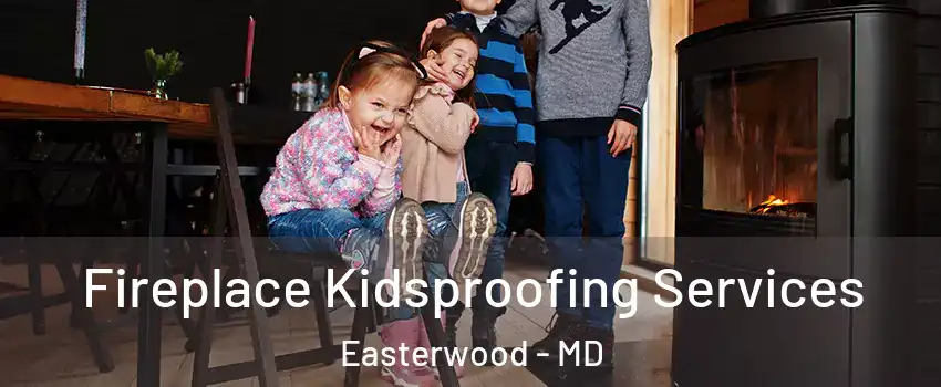 Fireplace Kidsproofing Services Easterwood - MD