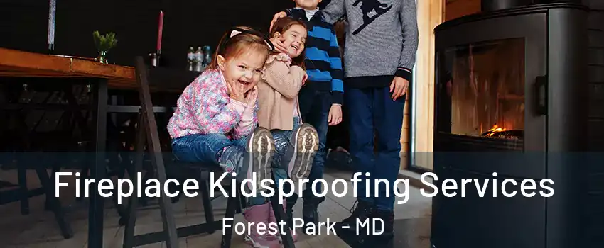 Fireplace Kidsproofing Services Forest Park - MD