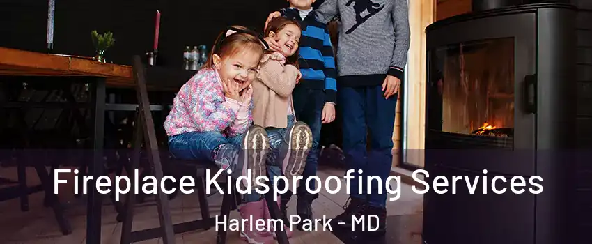 Fireplace Kidsproofing Services Harlem Park - MD