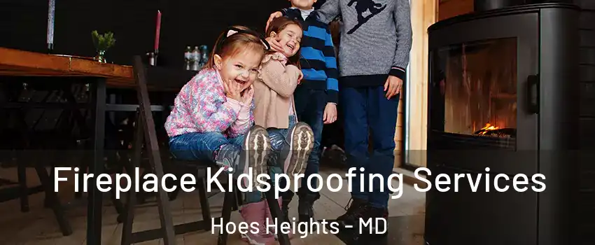 Fireplace Kidsproofing Services Hoes Heights - MD